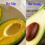 Cách phân biệt bơ sáp và bơ nước đơn giản