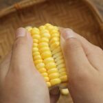Chia sẻ 2 cách làm ngô chiên giòn thơm ngon chuẩn vị