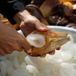 Dừa nước là gì? Dừa nước có tác dụng thế nào?