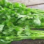 Tổng hợp 7 cách làm nước ép cần tây bổ dưỡng, giữ dáng, đẹp da