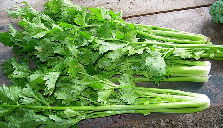 Cách làm nước ép cần tây nguyên chất