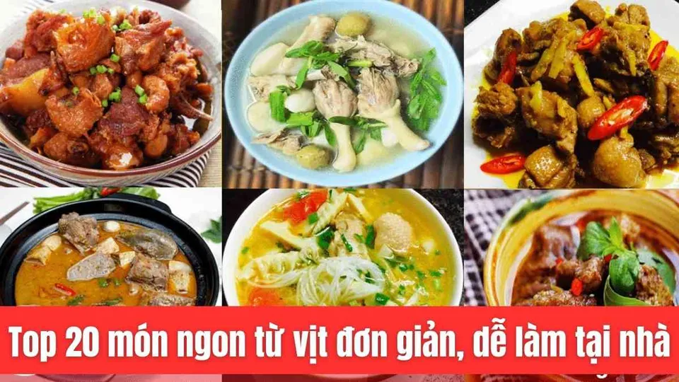 Top 20 món ngon từ vịt đơn giản, dễ làm tại nhà